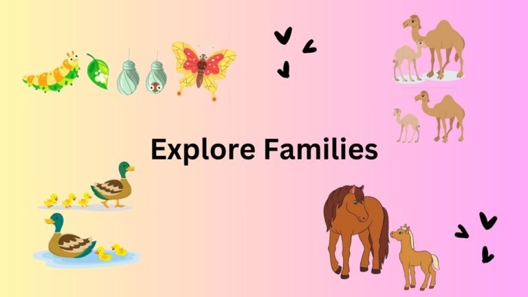 Explore Families picture