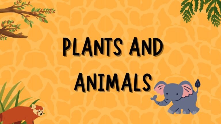 Plants and animals picture