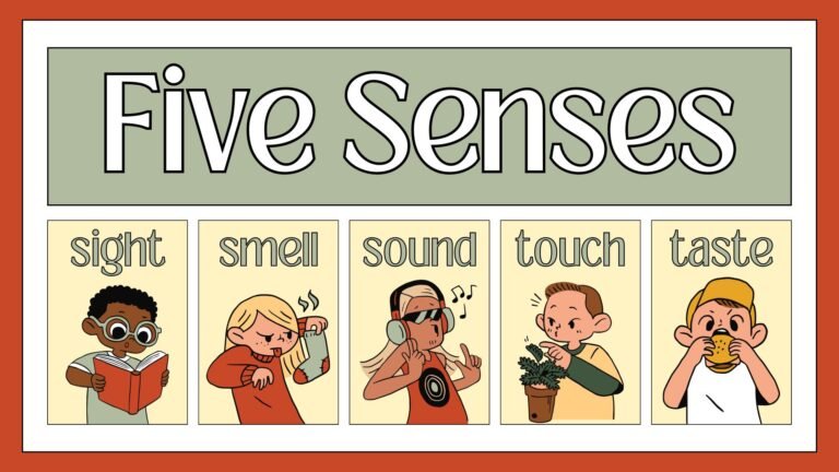 Five senses picture