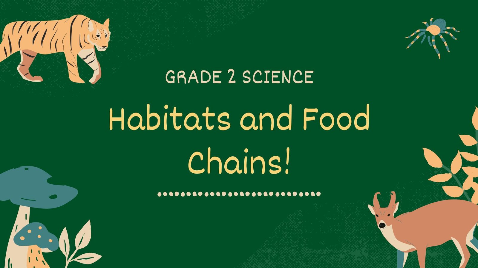 Habitats and food chains picture