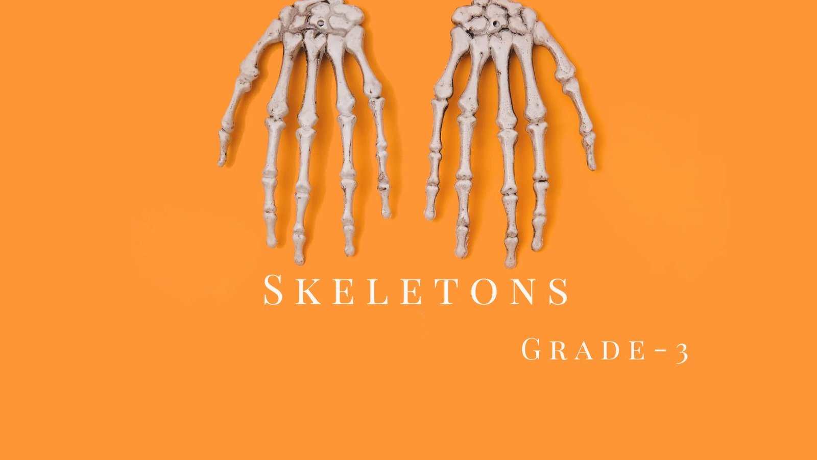 Skeletons picture