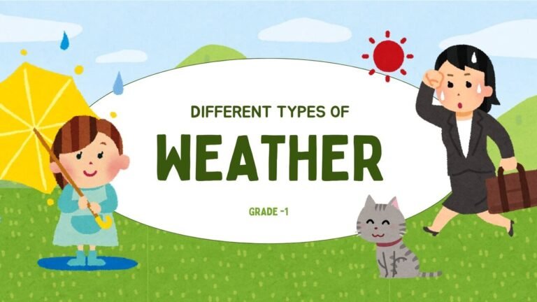grade 1 weather worksheet picture