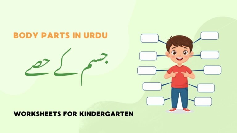 Body parts in urdu worksheets picture